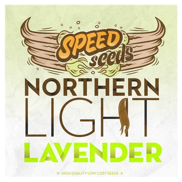 Northern Light x Lavender feminized, Speed Seeds