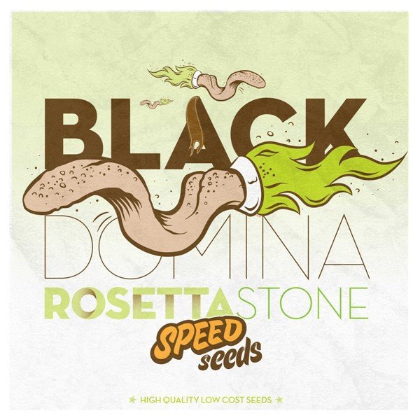 Black Domina x Rosetta Stone feminized, 30 шт фемінізованих, 30