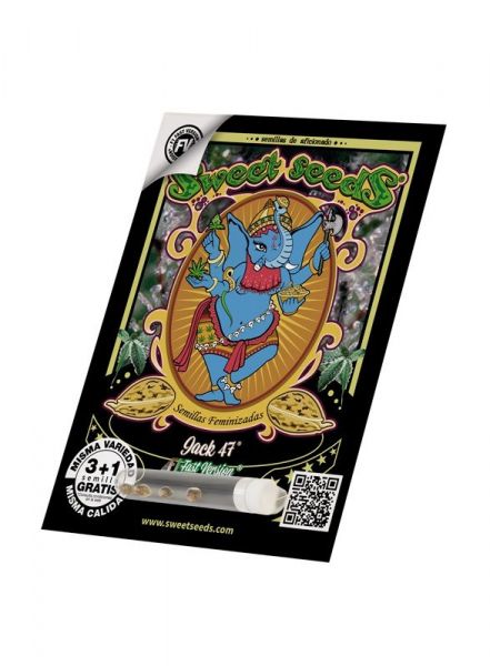 Fast Version F1 Jack 47 SWS51 feminized, Sweet Seeds