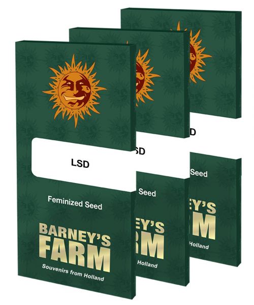LSD Feminised, Barney's Farm