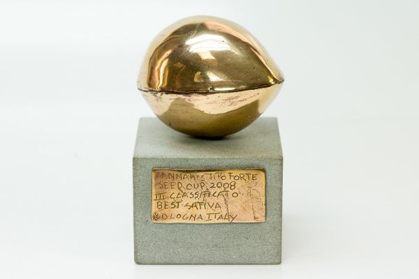 Moby Dick feminized, Dinafem Seeds