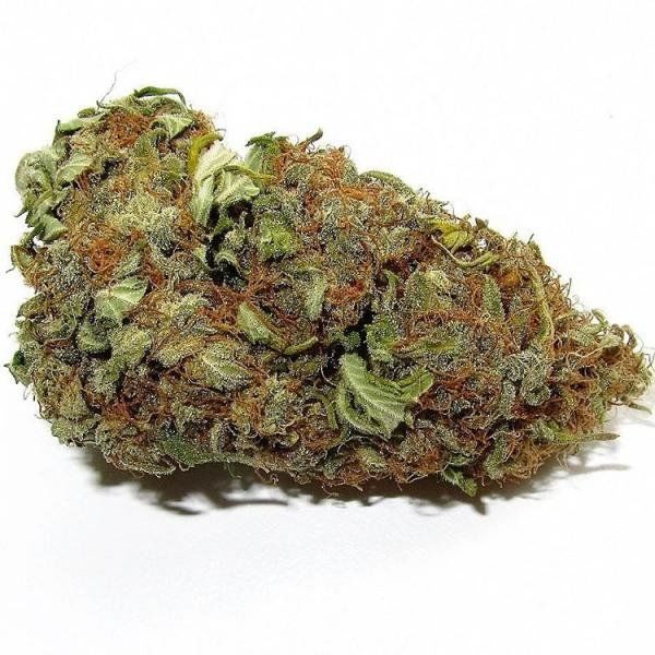 Delicious Candy feminized, Delicious Seeds